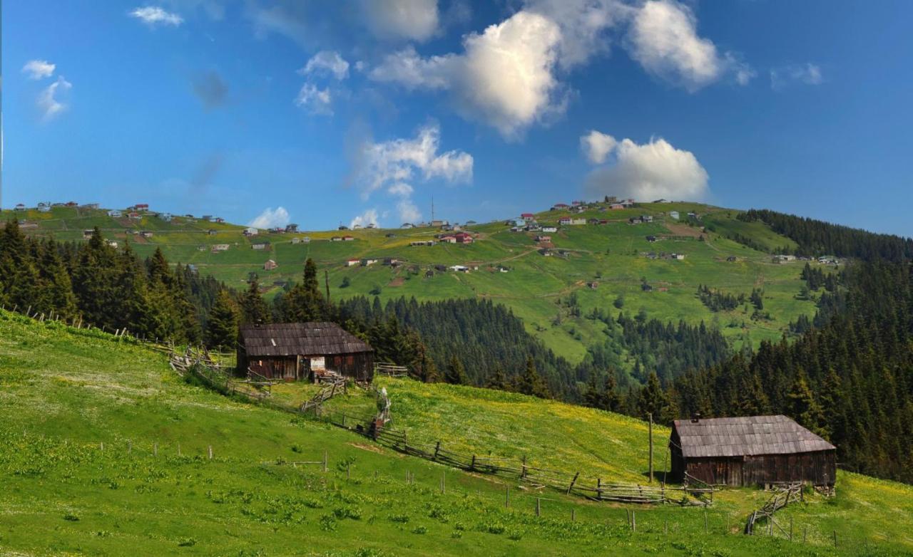 Sirt Butik Hotel Akcaabat Екстериор снимка